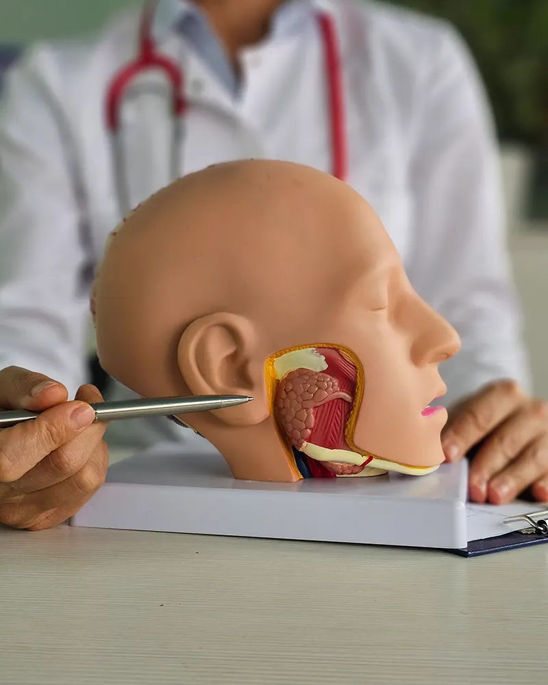 Choose charm dental katy for oral cancer exams